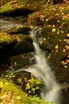Great Smoky NP, NC